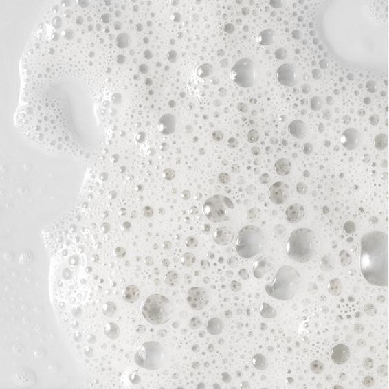 Lash Fills Memberships : Gold 